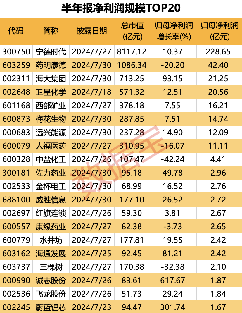 首批50家上市公司半年报出炉 这20家净利润规模居前（附名单）